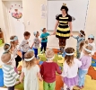 Światowy Dzień Pszczół