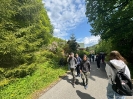 Jaskinia Niedźwiedzia