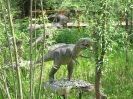 Park Dinozaurow_18