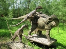 Park Dinozaurow_25