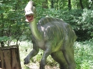 Park Dinozaurow_31