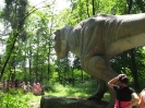 Park Dinozaurow_43