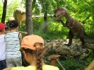 Park Dinozaurow_50