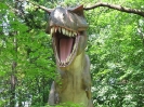 Park Dinozaurow_53