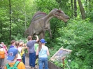 Park Dinozaurow_5
