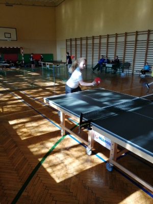 Tenis stołowy