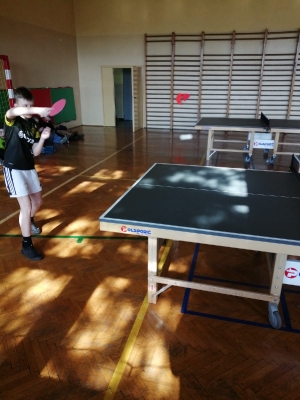 Tenis stołowy