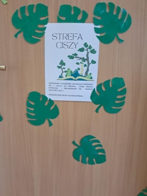 Strefa Ciszy innowacja podsumowanie