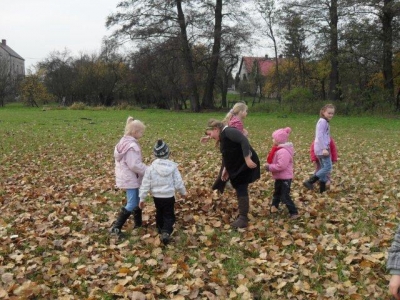 ziemniak2011_10