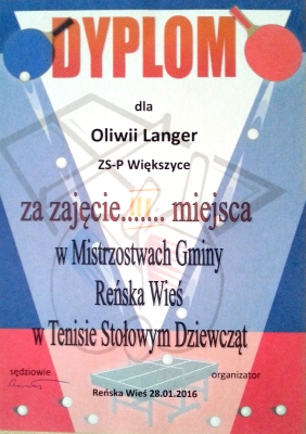 Tenis Stolowy_2