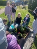 ZIELONE SERCA DLA ZIEMI