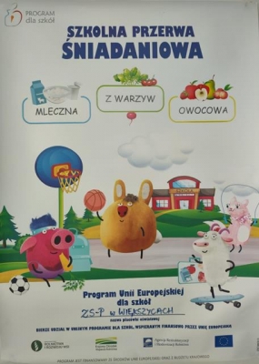 program dla szkół