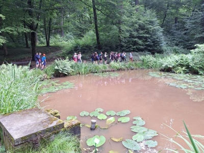 ARBORETUM  BRAMY MORAWSKIEJ W RACIBORZU