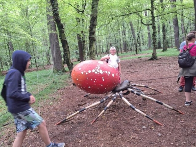 ARBORETUM  BRAMY MORAWSKIEJ W RACIBORZU