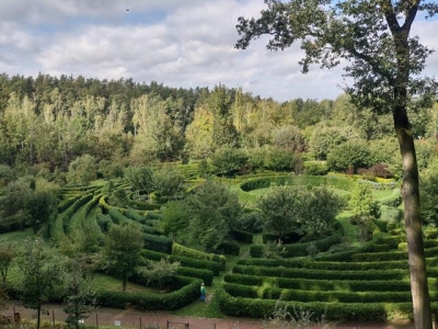 wycieczka do Arboretum