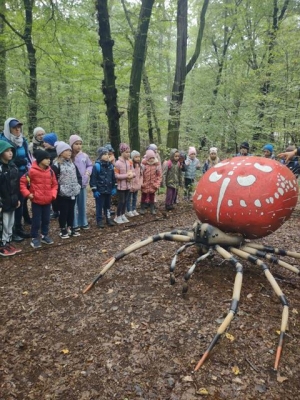 wycieczka do Arboretum